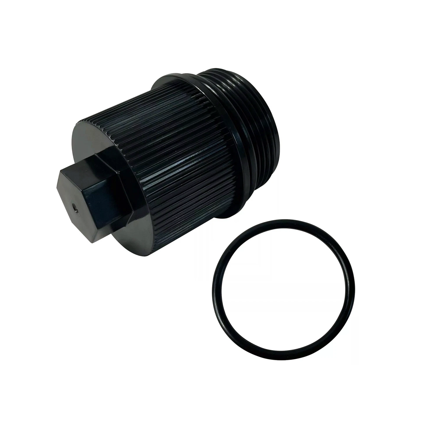 Drain Plug Cap 190030 for Pentair Clean & Clear Plus Filter CCP240 CCP320 CCP420 CCP520 Quad 60 80 100 FNSP24 FNSP36 FNSP48 FNSP60