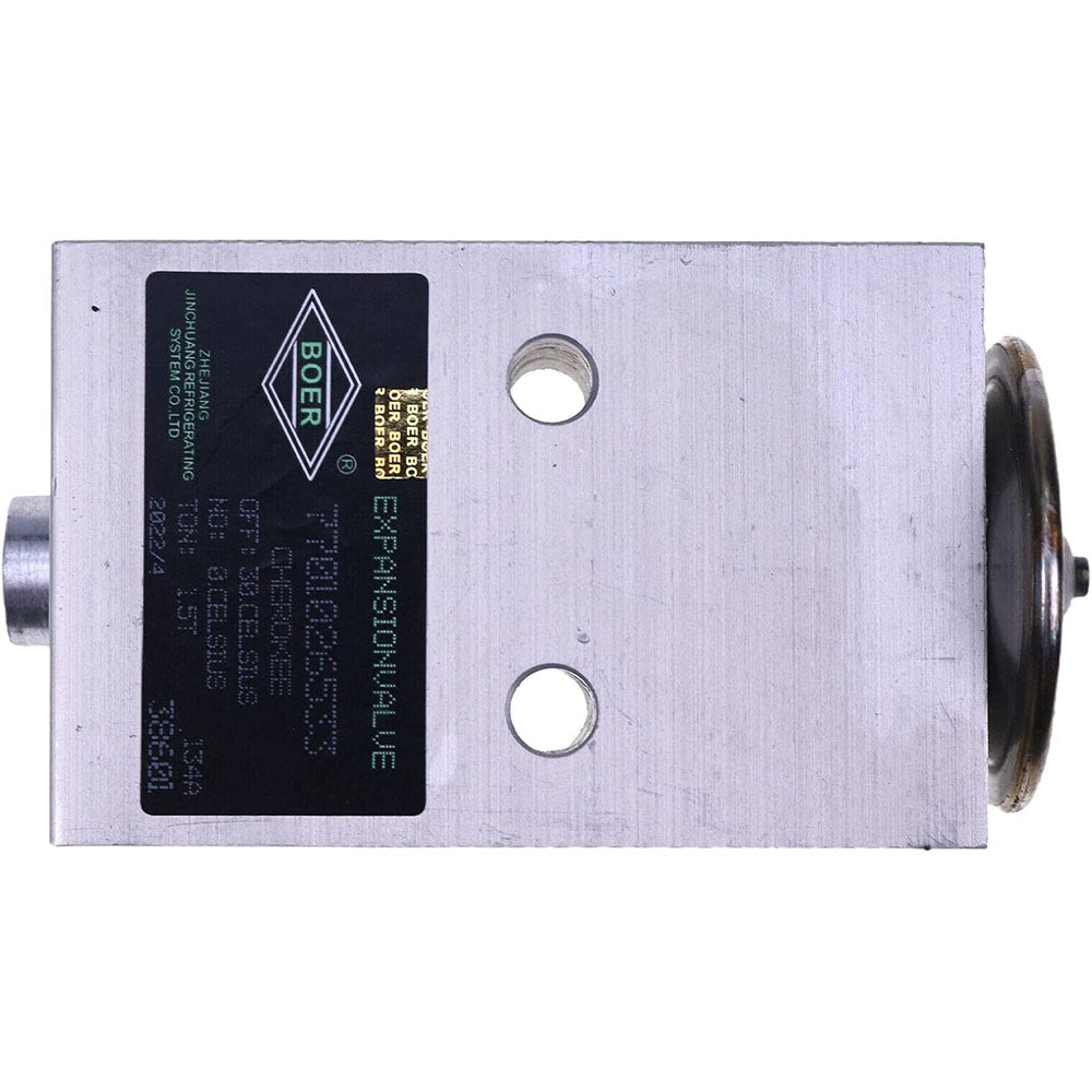 Expansion Valve 386535A1 for CASE MX210 MX215 MX230 MX245 MX255 MX275 MX285 MX305 STX275 STX280 STX325 STX430 STX530 - KUDUPARTS