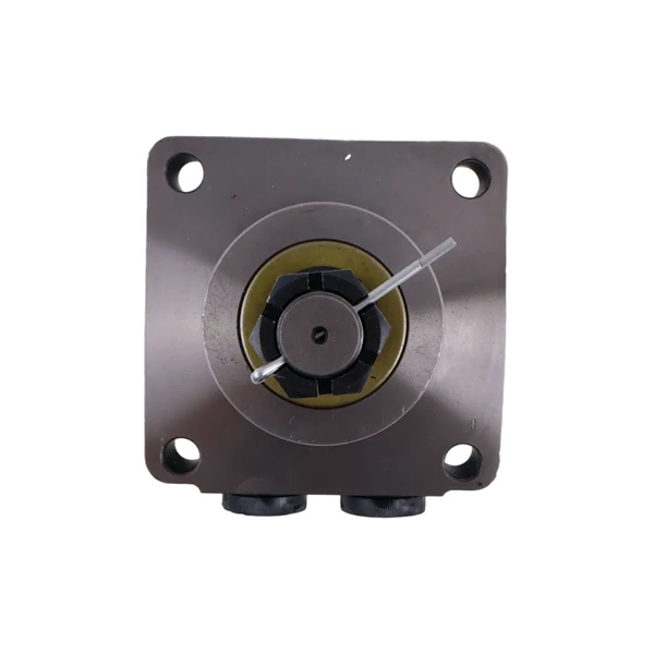 Hydraulic Motor 500120W3122AAAAA for White - KUDUPARTS