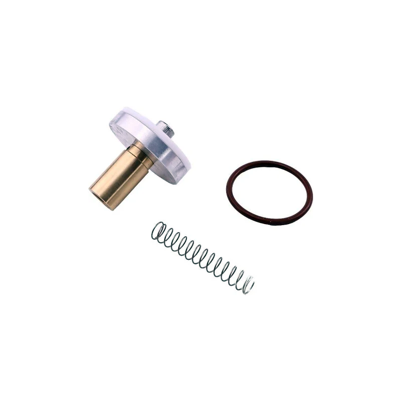 Minimum Pressure Check Valve Repair Kit 250019-444 for Sullair Screw Air Compressor - KUDUPARTS
