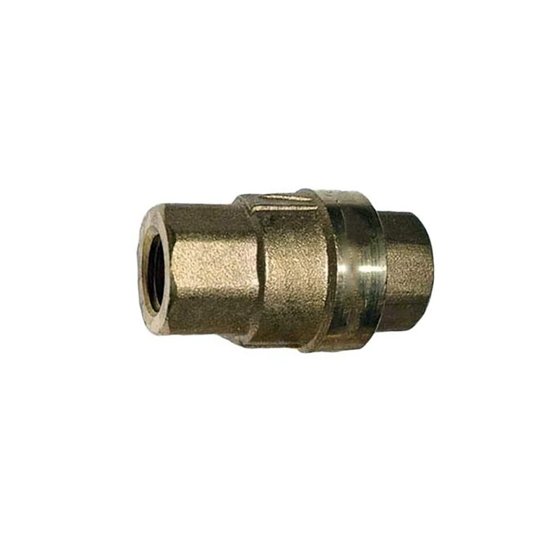 SIZE1/4PN1.6 Check Valve 2104100094 for Fusheng Air Compressor - KUDUPARTS