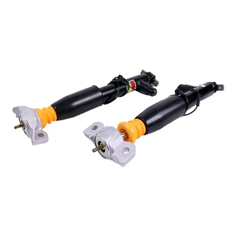 Shock Absorbers ASH24635 for Lincoln MKZ 2013-2020 - KUDUPARTS