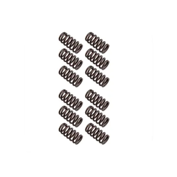 12 Pcs Valve Springs 3916691 3900276 for Dodge Ram 2500 3500 Cummins Engine 5.9L 12V - KUDUPARTS