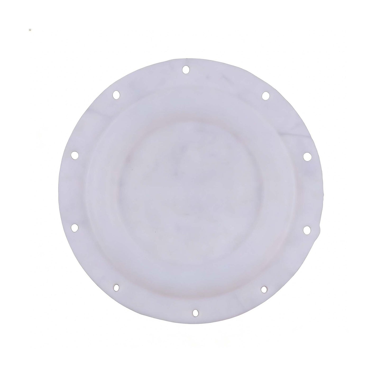 1.5-Inch White Teflon Diaphragm Plate 94617 for Ingersoll Rand ARO Diaphragm Pump Pro-Series - KUDUPARTS