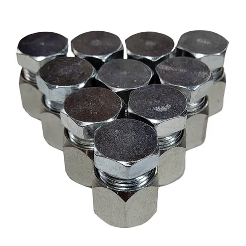 10 piezas de conector hidráulico combinado de tapa y tapón JIC de 1/4" 2408-04 0304-C-04