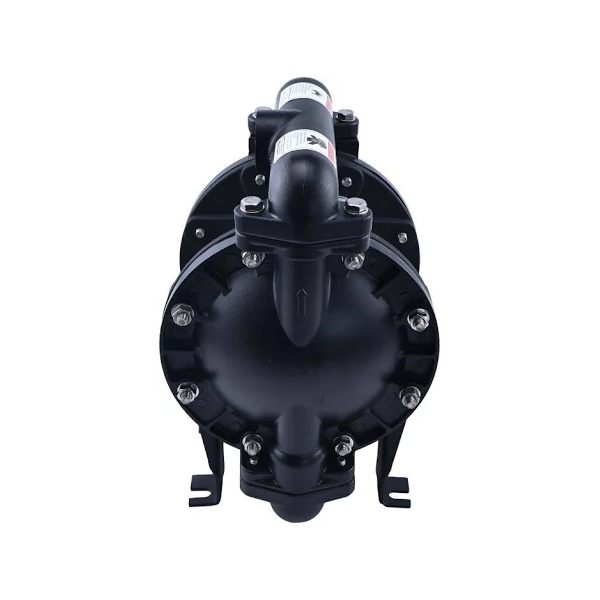 Pompe à membrane ARO 666100-3C9-C de rechange, filetage NPT, 1 pouce