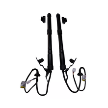 1 paire d'actionneurs de hayon électrique 68920-09080 68910-09110 pour Toyota RAV4 2013-2018