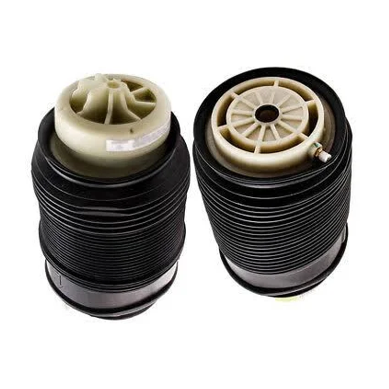 Paire de ressorts de suspension pneumatique arrière 2123200725 2123200825 pour Mercedes CLS400 CLS550 CLS63 AMG E63