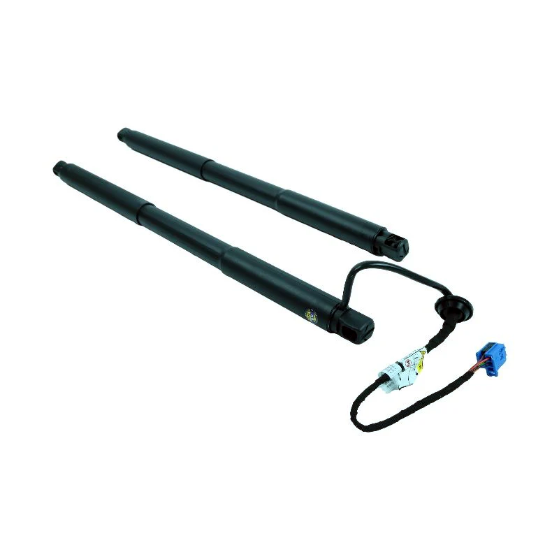 1 paire de vérins de hayon arrière électriques A1669801964 A1669802064 pour Mercedes-Benz W166 ML350 GLE400 GLE350 GLE320