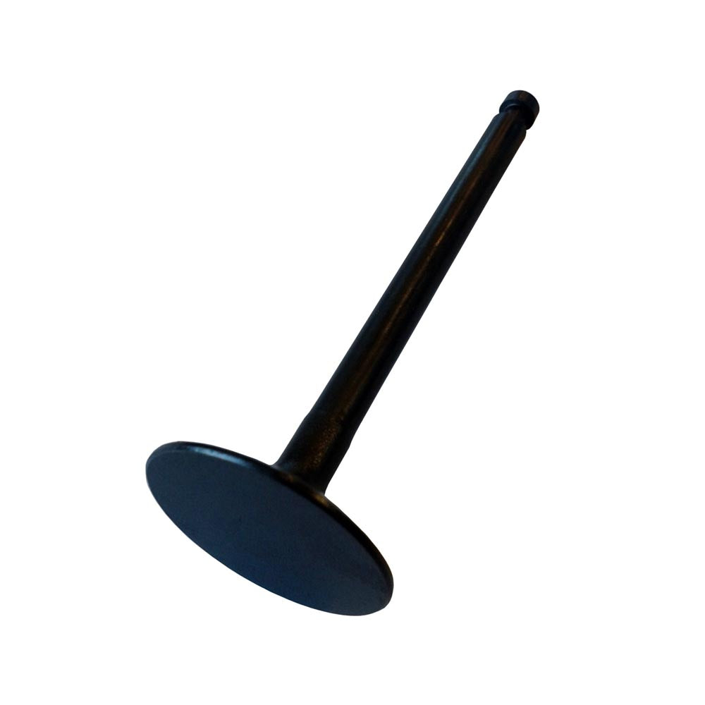 1Set Intake Valve 119620-11100 for Yanmar Engine 3TN66E-G2 3TN66E-S 3TN66E-YL 3TN66L-UHW 3TNA68L-UFWA 3TNA68L-UHW Komtsu 3D72-2B 3D72-2BA 3D72-2C 3D72-2E - KUDUPARTS
