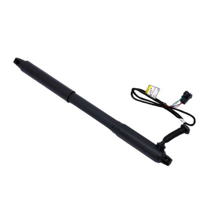 2 vérins de hayon électriques arrière gauche et droit 51247332695 51247332696 pour BMW X5 E70 07-13