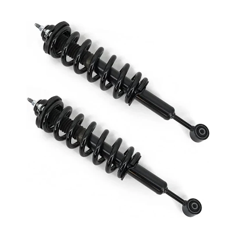 2 Pcs Front Shock Absorber Strut 48510-69195 for Toyota Land Cruise Lexus GX470