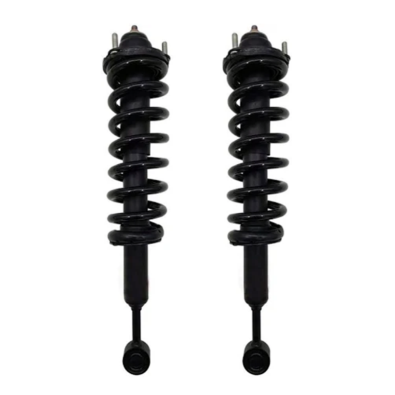 2 Pcs Front Shock Absorber Strut 48510-69195 for Toyota Land Cruise Lexus GX470