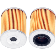 2 Pieces Engine Oil Filter 0800-011300-00030 WL10090 for CFMoto CFORCE UFORCE 500 600 ZFORCE 800 950 1000