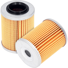 2 Pieces Engine Oil Filter 0800-011300-00030 WL10090 for CFMoto CFORCE UFORCE 500 600 ZFORCE 800 950 1000