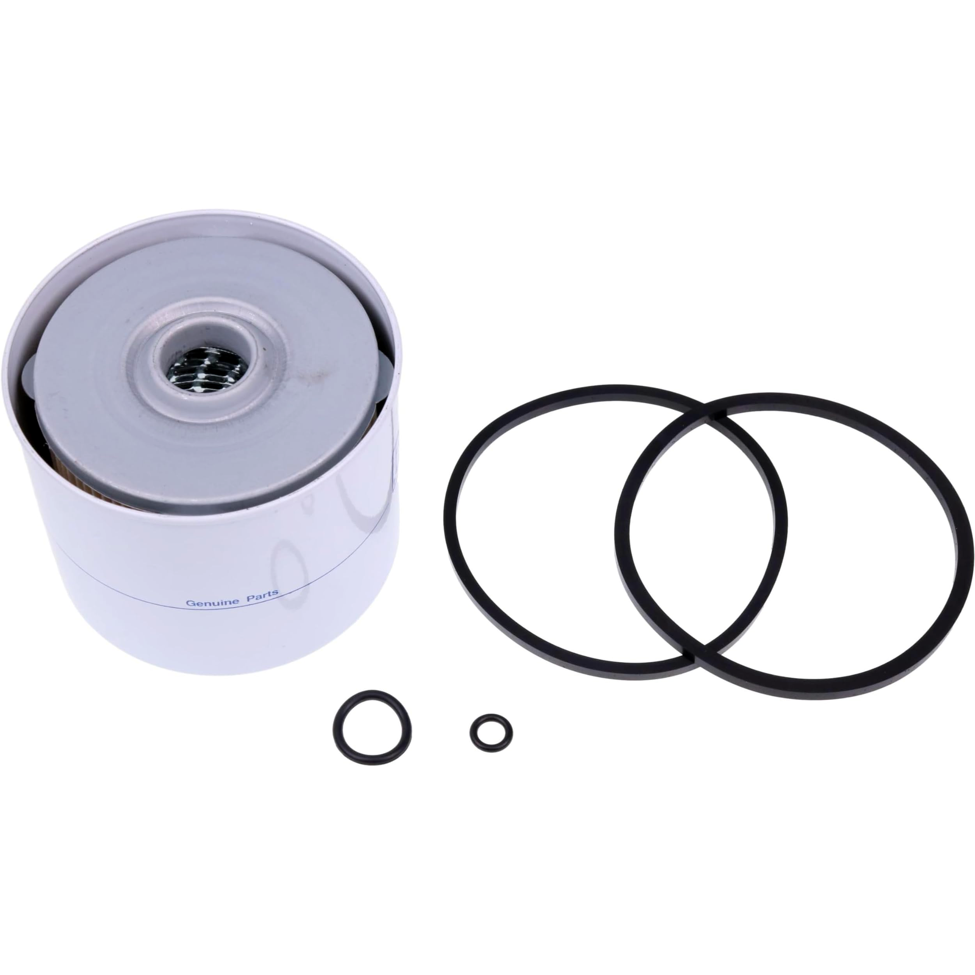 2 Pieces Fuel Filter 3405418M2 for Ford 2000 3000 6700 7600 Massey Ferguson 135 150 165 2135 - KUDUPARTS