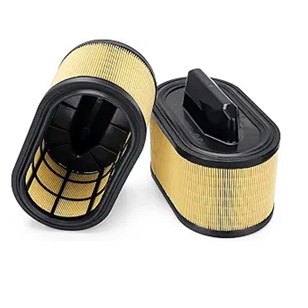 2 Pieces Fuel Filter 670001545 WA11165for Maserati Ghibli Levante Quattroporte - KUDUPARTS