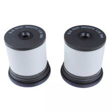 2 Pieces Fuel Filters 95174479 for 2010-2023 Chevrolet Captiva Opel Vauxhall Antara