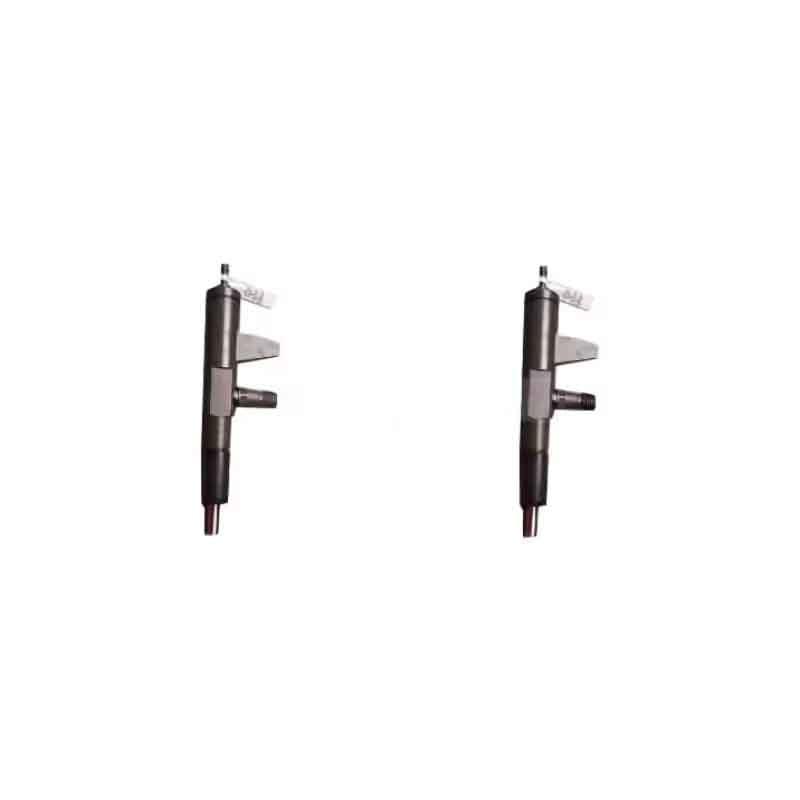 2 Pieces Fuel Injector 4175785 0432191706 04176037 for Deutz Engine F2L1011