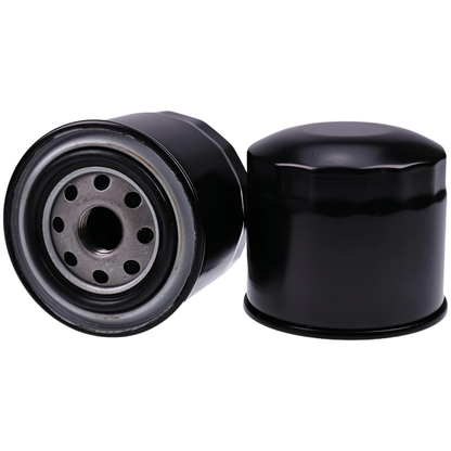 2 Pieces Golf Cart Oil Filter 51394 P502022 for E-Z-GO RXV 2008-Up