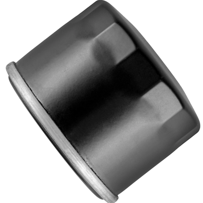 2 filtros de aceite 0812-130 para Arctic Cat UTV 2022 Wildcat XX LTD 2022 Wildcat XX SE 2020-2022 Wildcat XX