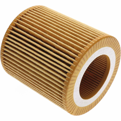 2 Pieces Oil Filter 11 42 7 541 827 for BMW 128i 135i 325i 328i 330i 335i 525i 528i 530i 535i 640i 740i X3 X5 X6 Z4