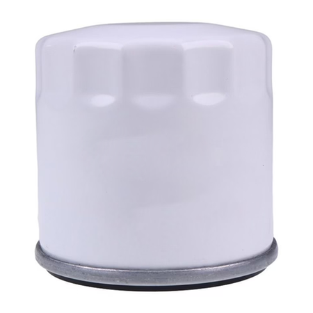 2 Pieces Oil Filters 3070131 for Polaris UTV Ranger Brutus - KUDUPARTS