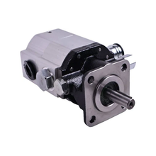 Pompe à engrenages hydraulique 42(11) CBNA-8.8/3.0 pour fendeuse de bûches