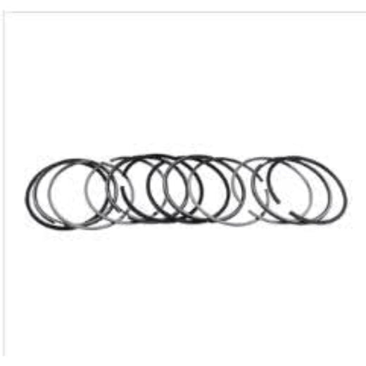 Piston Ring 04501339 for Deutz Engine BFM1013C BFM1013 BFM1013E BFM1013CP BFM1013ECP TCDL20132C - KUDUPARTS