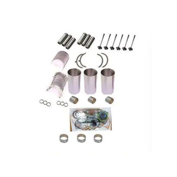 Kit de révision et de reconstruction pour moteur Kubota D650 Tracteur B6001 B6100 B6100HST