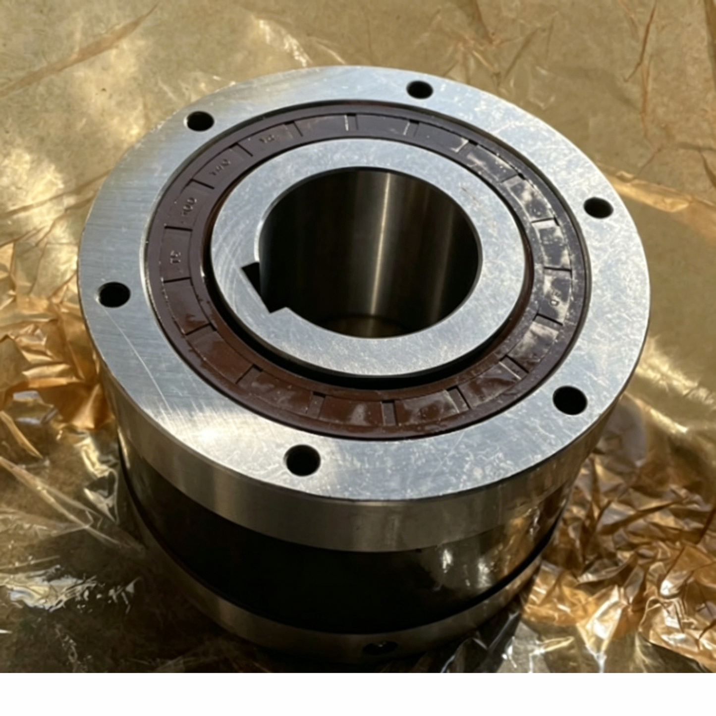 Cam Clutch F343BA-70A for Tsubaki Transmission