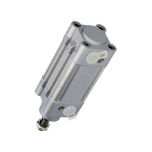 Vérin de rechange Festo DNC-40-25-PPV-A 163337