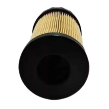 Aftermarket Fleetguard FS20221 Fuel Filter for Volkswagen VW Truck Delivery 13.180 9.170