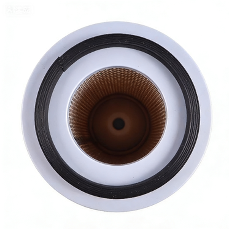 Air Filter - Replaces Donaldson P181163