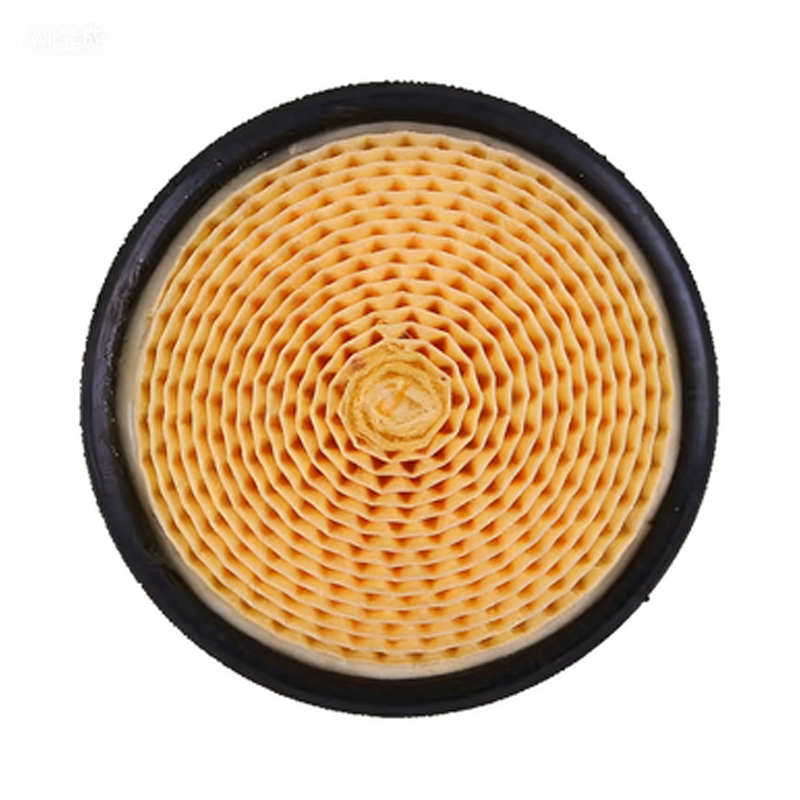 Air Filter 6.4161.0 for Kaeser Air Compressor SK15 SK20 SK21 SK24 - KUDUPARTS
