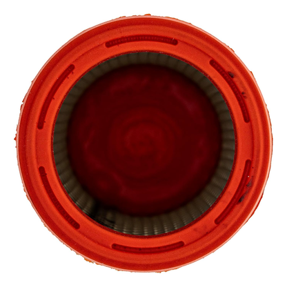 Air Filter 707800483 for Can-Am Motorcycle Spyder RT F3-T 2008-2024 - KUDUPARTS