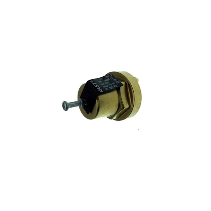 Válvula reguladora de presión diferencial Cash Valve tipo CP 1/4 NPT 406929 para Sullair