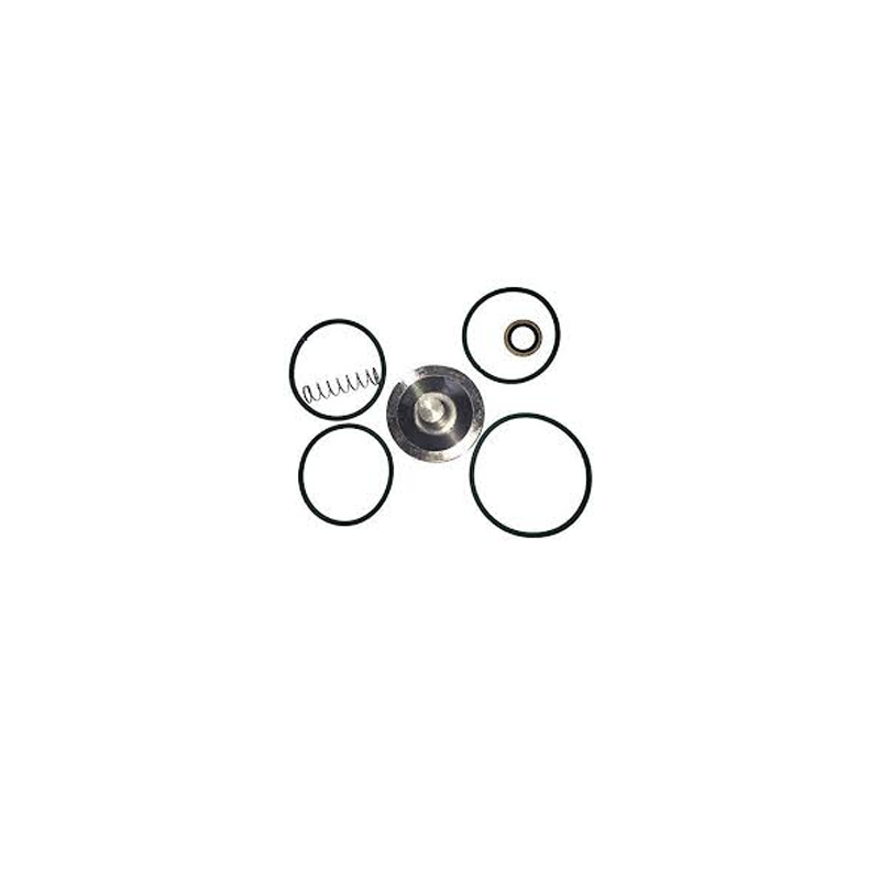 Check Valve Maintenance Kit 2906-0493-00 2906049300 for Atlas Copco Compressor - KUDUPARTS
