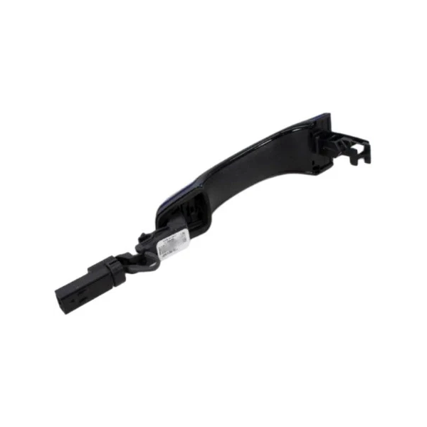 Poignée de porte extérieure 1RH64DX8AE pour Chrysler 300 et Dodge Charger Journey