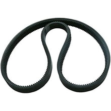 Courroie de volant d'inertie 7188792 7147859 pour chargeuse Bobcat S630 S650 T630 T650