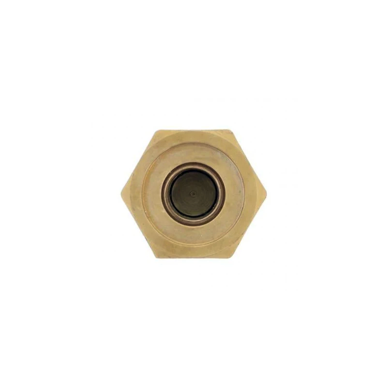 Fuel Check Valve 3028324 for Cummins Engine L10 M11 SM QSM Case Tractor Steiger 9150 - KUDUPARTS
