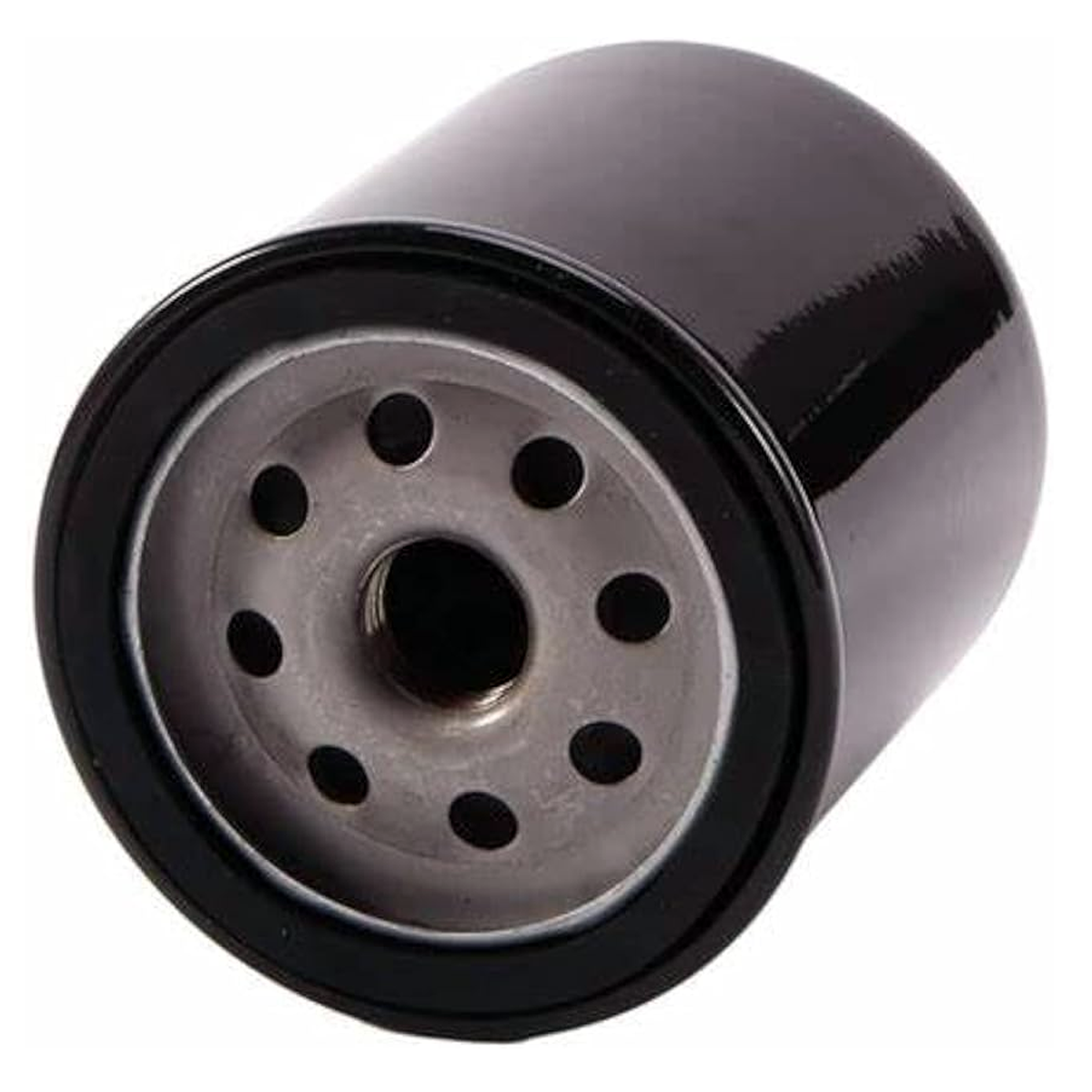 Filtre à carburant 18458T4 pour moteur hors-bord Mercury V-6 Optimax