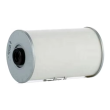 Fuel Filter FF5055 SN5055 P502131 for MAN Engine D2048MT