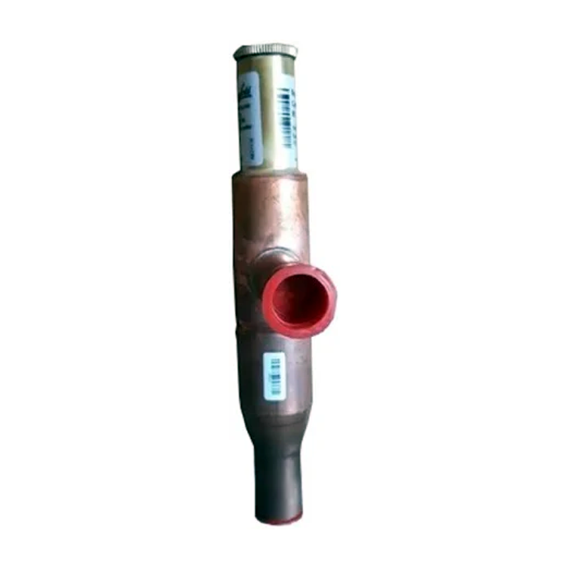 Vanne de dérivation de gaz chauds 1617-1524-04 pour Atlas Copco