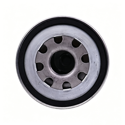 Hydraulic Filter 3607790M1 for Massey Ferguson 1250 1429 1440 1433V 1440V 1455 1455V Challenger MT265 MT275 MT285 MT297 Agco ST35 ST40 ST55 Tractor - KUDUPARTS
