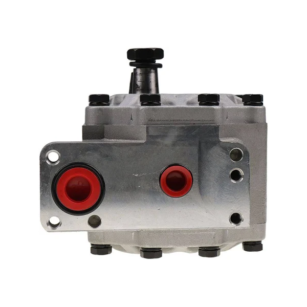 Pompe à engrenages hydraulique 110509C91 pour tracteur CASE 484 584 684 784 884