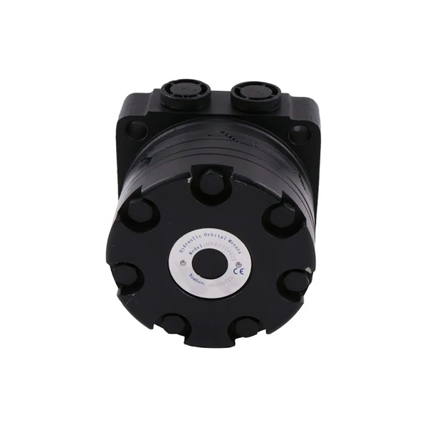 Hydraulic Motor 500120W3122AAAAA for White - KUDUPARTS