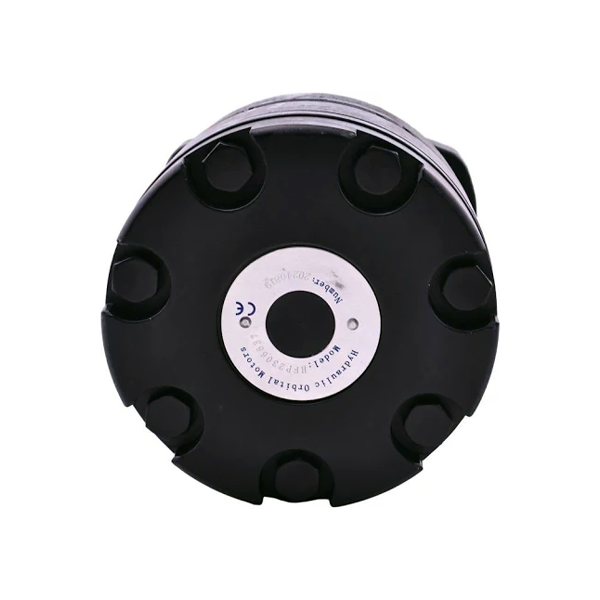 Hydraulic Motor 500300A3110AAAAA 500300A5110AAAAA for White RE Series