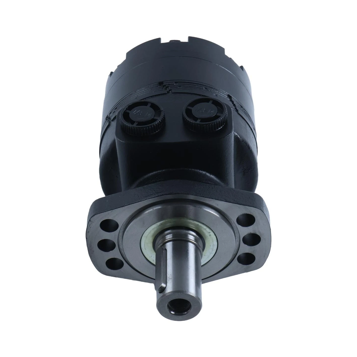 Hydraulic Motor 501300A3120AAAAA 501300A5120AAAAA for White 500 Series - KUDUPARTS