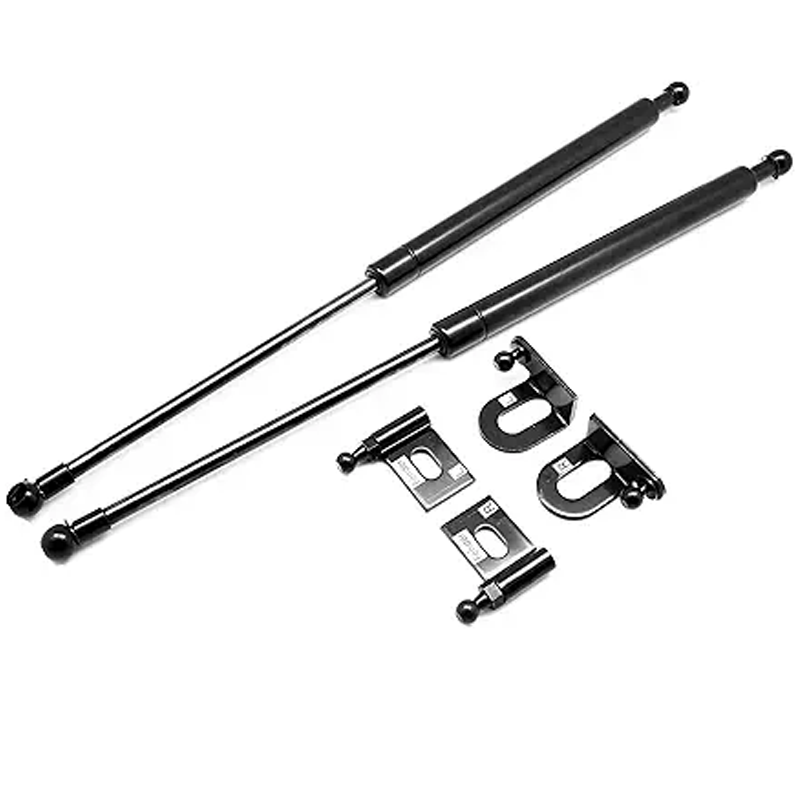 Matt Black Bonnet Hood Lift Support Damper Kit DAMPE039 for 1996-2000 Honda 3D 4D Civic EK3 EK4 EK9 - KUDUPARTS